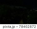 源氏蛍の舞う清流（ゲンジホタル） 78402872