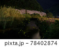 源氏蛍の舞う清流（ゲンジホタル） 78402874