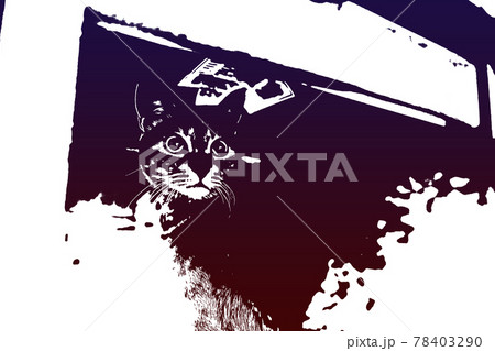 猫 ネコ ねこ キジトラ 白 グレー 子猫 雌 メス 雌ねこ 雌ネコ 雌猫 元気 かわいい 癒しのイラスト素材