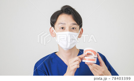 歯科衛生士・歯医者 歯科衛生士・歯医者 78403399