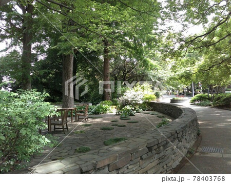 横浜　元町　エリスマン邸の庭　2021年5月撮影 78403768