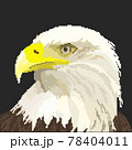 ワシ 鷲 イーグル 78404011