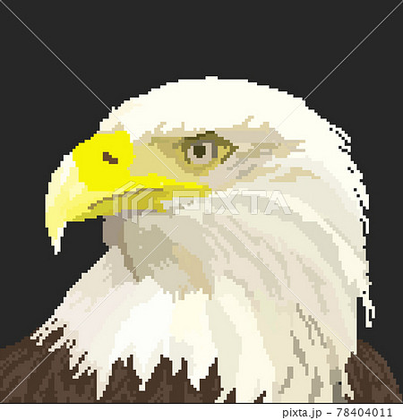 ワシ 鷲 イーグルのイラスト素材