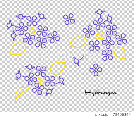紫陽花の線画イラスト素材 ベクター デザインのイラスト素材