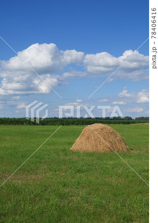 Haystacks on a green meadow under a blue sky. Picturesque pastoral landscape. Farmland on a clear summer day. White cumulus clouds in the blue sky. 78406416