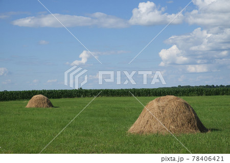 Haystacks on a green meadow under a blue sky. Picturesque pastoral landscape. Farmland on a clear summer day. White cumulus clouds in the blue sky. 78406421