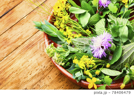 Natural medicine,fresh plants,healing herbs 78406479