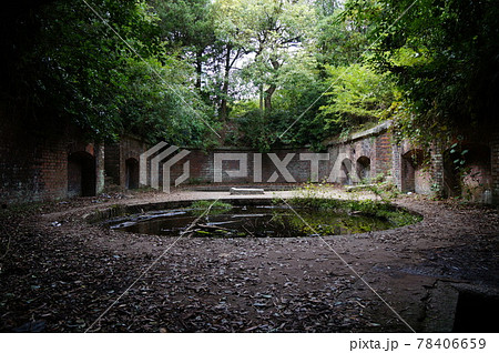 秋の友ヶ島　ラピュタの世界 78406659