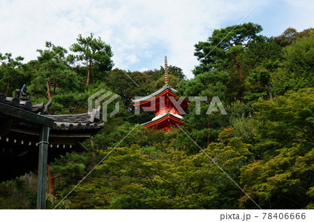 夏の今熊野観音寺 山の中腹に建つ医聖堂 夏の今熊野観音寺 山の中腹に建つ医聖堂 78406666