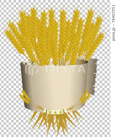 フレーム 小麦とリボンのエンブレム ベクターイラストのイラスト素材