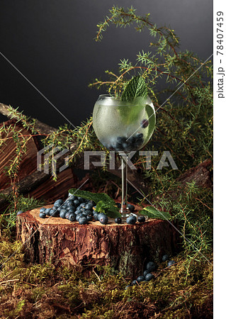 Gin and Tonic cocktail with blueberry and mint. Gin and Tonic cocktail with blueberry and mint. 78407459