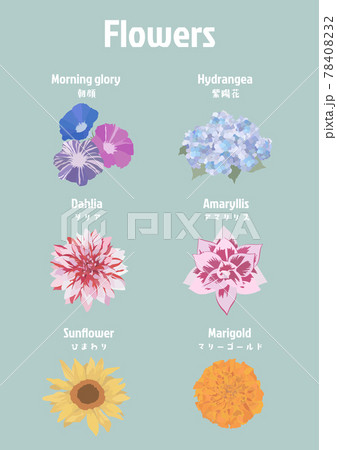 花の素材 向日葵 紫陽花 朝顔 アマリリス マリーゴールド ダリアのイラスト素材 花の素材 向日葵 紫陽花 朝顔 アマリリス マリーゴールド ダリアのイラスト素材