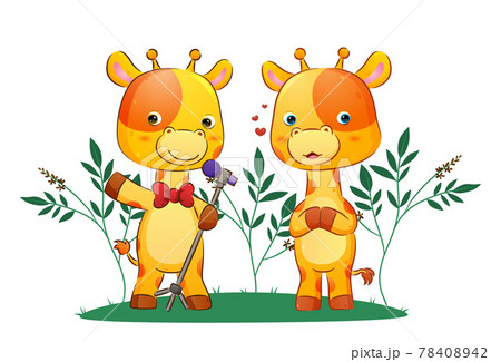 The couple of singer giraffe is singing together in the park 78408942