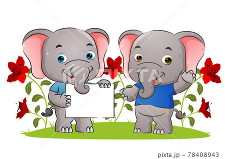 The little couple elephant is holding a blank poster and presenting in the garden The little couple elephant is holding a blank poster and presenting in the garden 78408943
