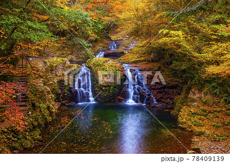 秋の赤目四十八滝 荷担滝 78409139