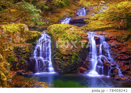 秋の赤目四十八滝 荷担滝 78409241