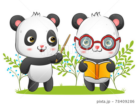 The couple of panda is holding a book while... - Stock Illustration  [78409286] - PIXTA