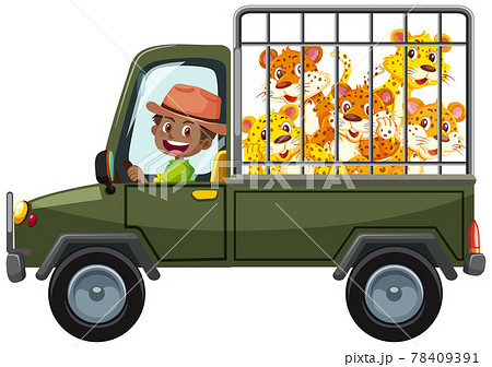Zoo concept with leopard group in the cage car isolated on white background 78409391