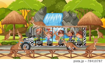 Safari at sunset scene with kids watching kangaroo group 78410787