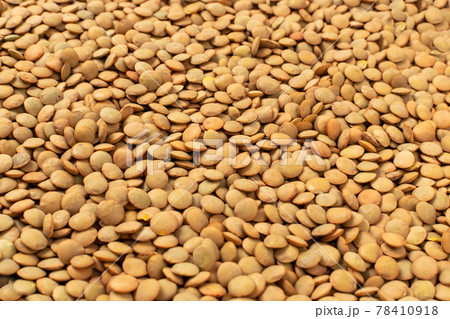 Raw Dry Lentils, Lentil Grains, Dal, Daal, Dhal, Masoor 78410918