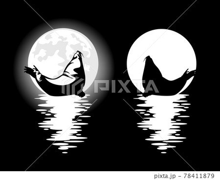 steller sea lion and full moon water reflection black and white vector design steller sea lion and full moon water reflection black and white vector design 78411879