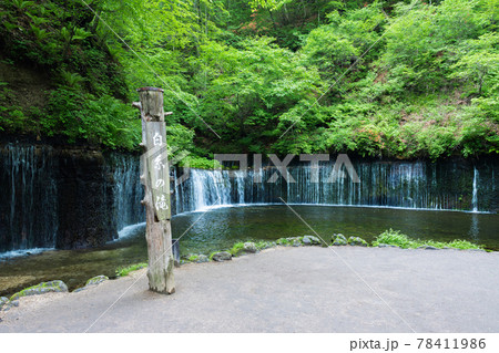 白糸の滝 白糸の滝 78411986