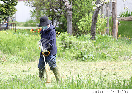家庭用電動草刈機で庭の草刈りをする中年女性 家庭用電動草刈機で庭の草刈りをする中年女性 78412157