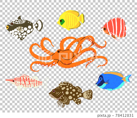 Colorful sea fish 2 78412831