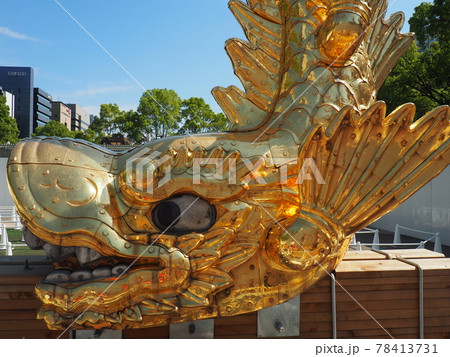 展示されている名古屋のシンボル　金の鯱  5 78413731