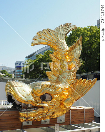 展示されている名古屋のシンボル　金の鯱  10 78413744