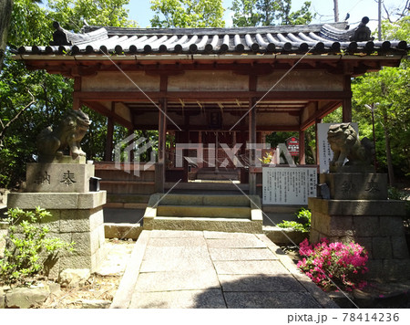 狩尾神社(とがのおじんじゃ)の拝殿と本殿 狩尾神社(とがのおじんじゃ)の拝殿と本殿 78414236