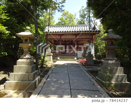 狩尾神社(とがのおじんじゃ)の拝殿と本殿 狩尾神社(とがのおじんじゃ)の拝殿と本殿 78414237