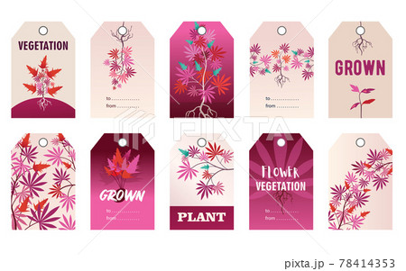 Promotional pink tag designs with hemp plant 78414353