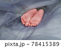 Baby's feet under a gray blanket 78415389