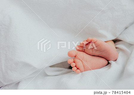 Baby's feet under a white blanket Baby's feet under a white blanket 78415404