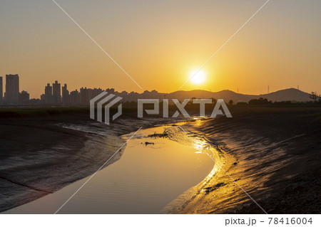 公園 日没 夕焼け 78416004