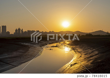 公園 日没 夕焼け 78416015