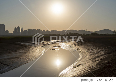 公園 日没 夕焼け 78416127