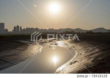 公園 日没 夕焼け 78416128