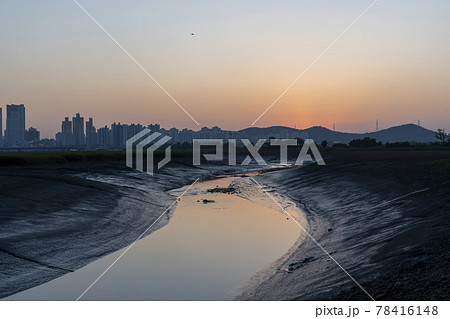 公園 日没 夕焼け 78416148