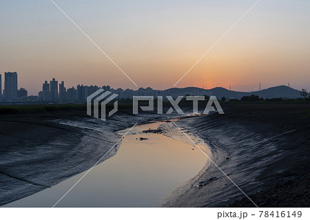 公園 日没 夕焼け 78416149