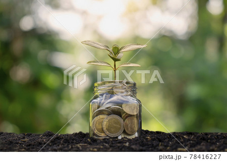 Small plants that grow bottle money, coins on soil, business and investment growth ideas. Small plants that grow bottle money, coins on soil, business and investment growth ideas. 78416227