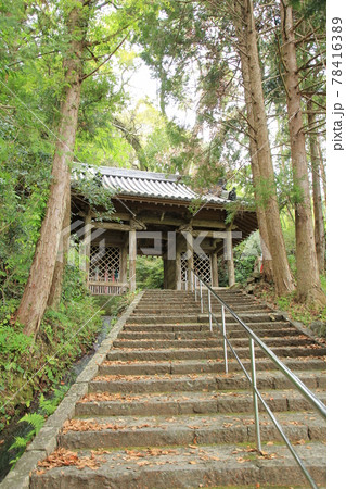 四国霊場第35番札所「清瀧寺」仁王門 78416389
