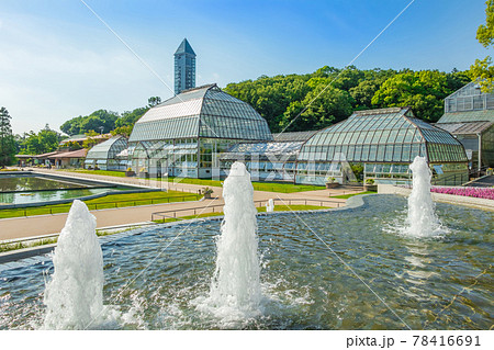 東山植物園にある日本最古の公共温室、温室前館〈愛知県名古屋市〉 78416691