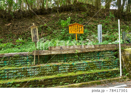 静岡県　長野県　兵越林道　県境部 78417301