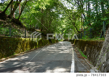 静岡県　長野県　兵越林道　県境部 78417303
