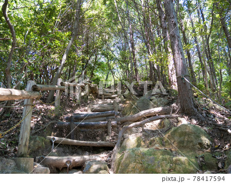 木漏れ日の階段 木漏れ日の階段 78417594