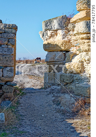 Roman ruins of Histria citadel - Romania 78417795