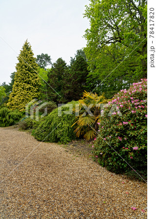 Spring in the grounds of Exbury gardens Spring in the grounds of Exbury gardens 78417820