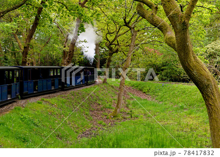 Miniature steam train at Exbury gardens - England UK 78417832